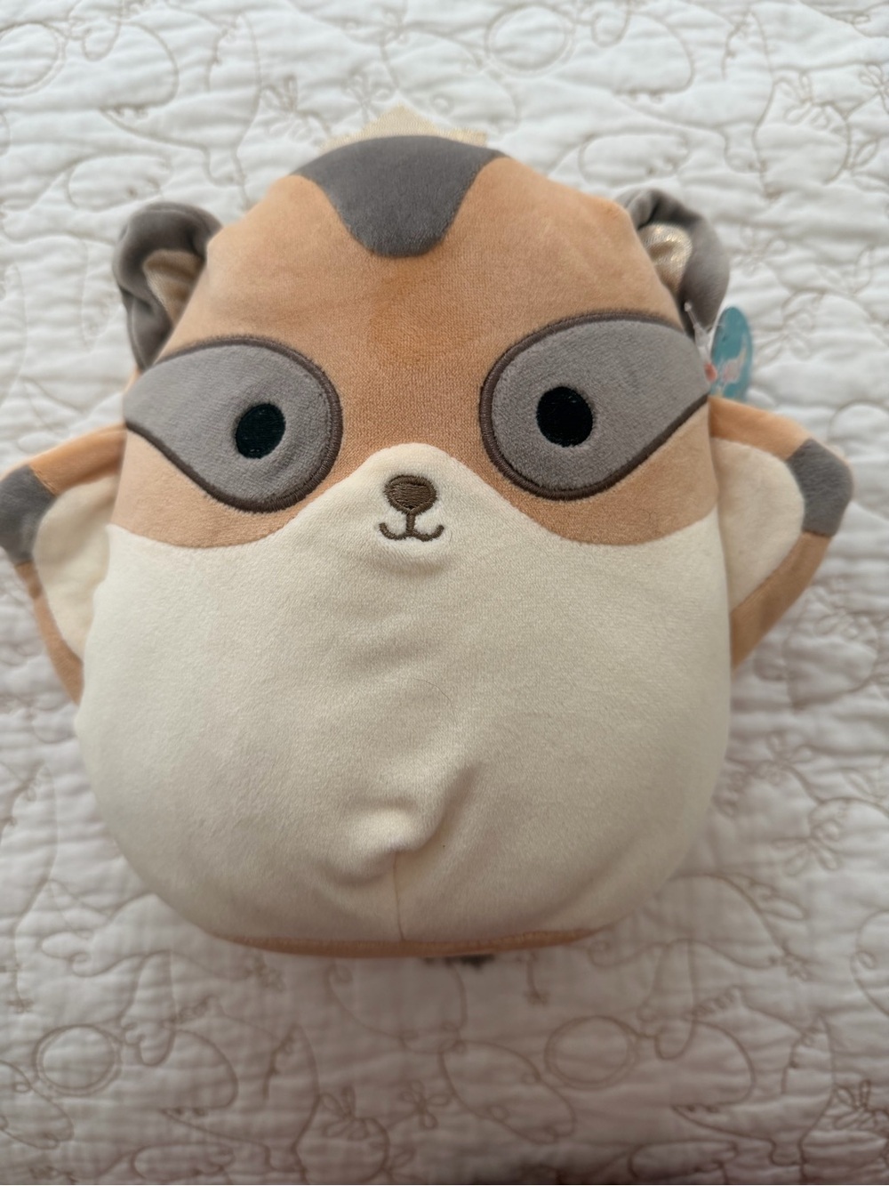 Ziv Squishmallows - Cream & Brown
